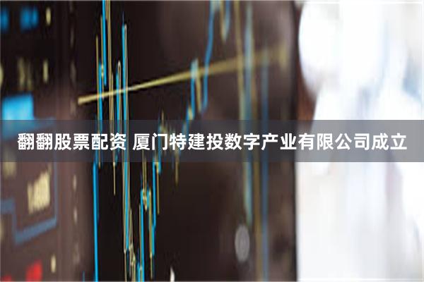 翻翻股票配资 厦门特建投数字产业有限公司成立