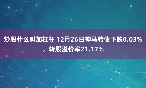 炒股什么叫加杠杆 12月26日神马转债下跌0.03%，转股溢价率21.17%