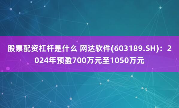 股票配资杠杆是什么 网达软件(603189.SH)：2024年预盈700万元至1050万元