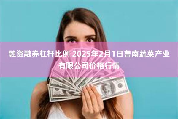 融资融券杠杆比例 2025年2月1日鲁南蔬菜产业有限公司价格行情