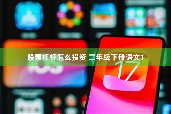 股票杠杆怎么投资 二年级下册语文1