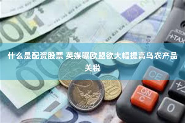 什么是配资股票 英媒曝欧盟欲大幅提高乌农产品关税