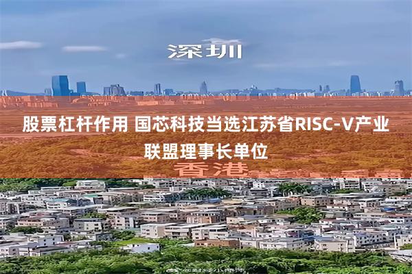 股票杠杆作用 国芯科技当选江苏省RISC-V产业联盟理事长单位